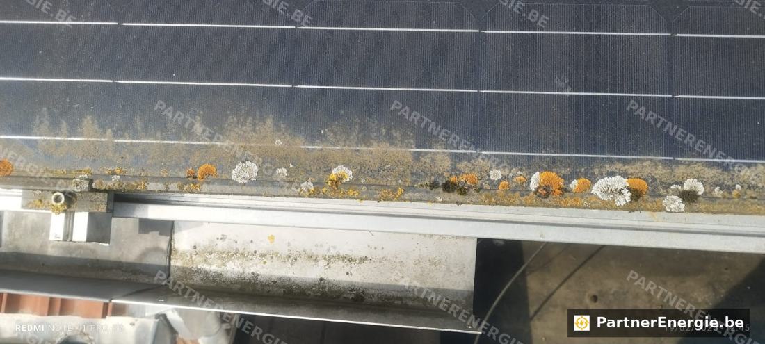 Technicien nettoyant des panneaux solaires en toiture